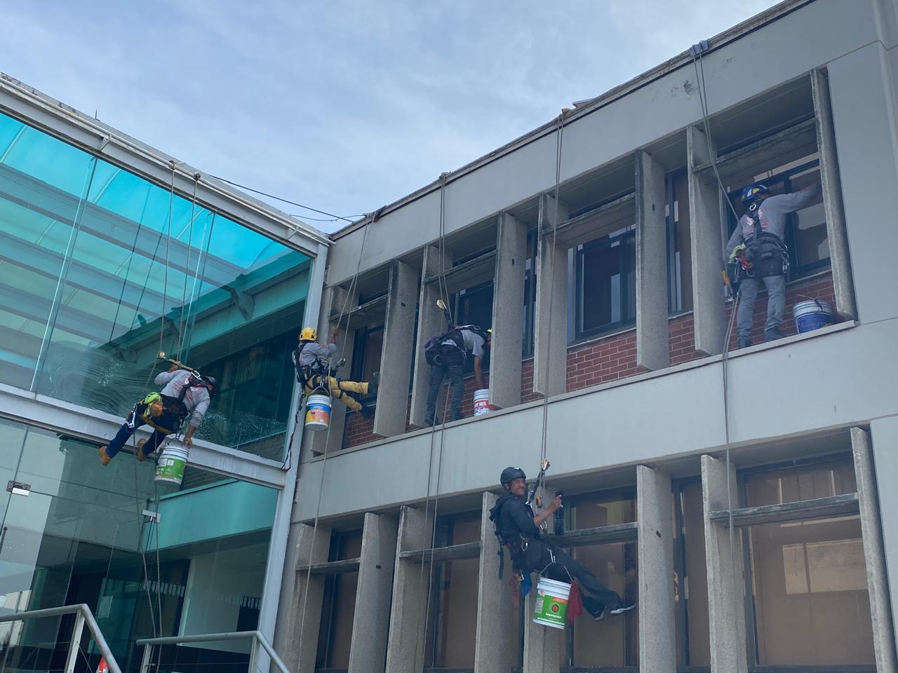 Staff cleaning exterior windows with rope-access equipment